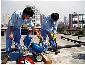 专业守护，洁净如新——聚焦成都楼宇一体化维护服务