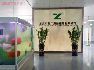 樟木头停车场开荒保洁服务 智洋环科专业解决方案，覆盖学校、工厂、物业、别墅及新旧楼宇